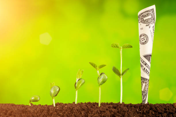 istock bussiness investment:coin growing in soil on green background 1053515592