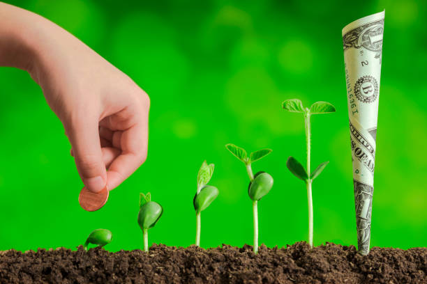 istock bussiness investment:coin growing in soil on green background 1053515874