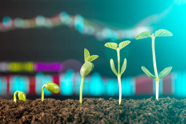 istock bussiness investment:coin growing in soil on green background 1053515980