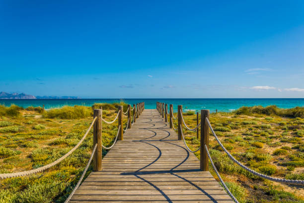 istock Sand dunes at Sa Canova playa virgen, Mallorca, Spain 1053516464