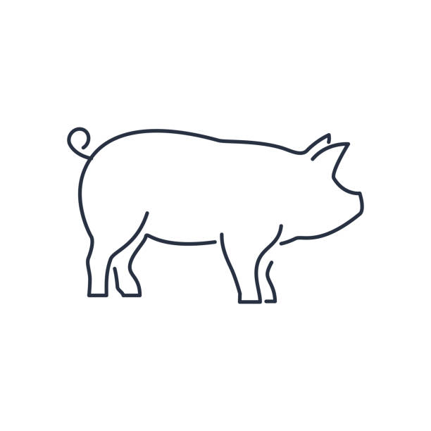 illustrations, cliparts, dessins animés et icônes de icône de cochon, cochon silhouette linéaire signe isolé sur fond blanc - vectoriels éditables illustration eps10 - pig