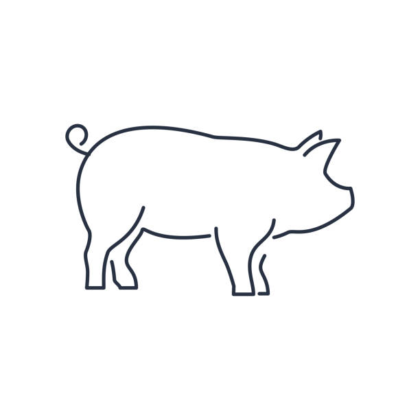 ilustrações, clipart, desenhos animados e ícones de ícone de porco, porquinha silhueta linear assinar isolado no fundo branco - vetor editável ilustração eps10 - pig silhouette animal livestock