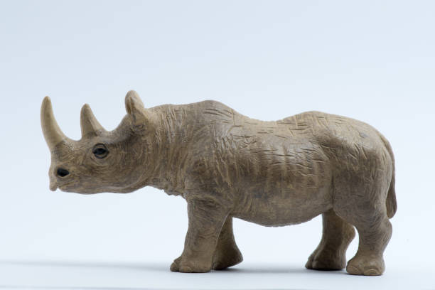 istock Rhinoceros model isolated on white background 1053521088