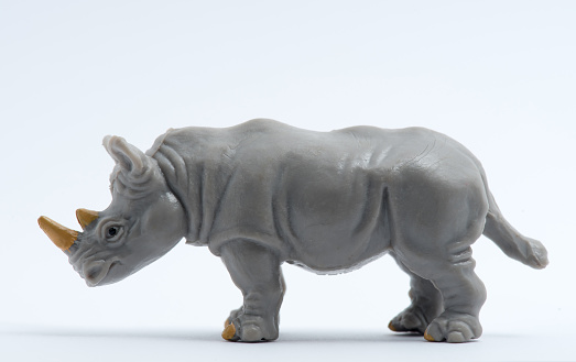 Image toys plastic of animal Rhinoceros model isolated on white background.