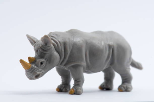 Image toys plastic of animal Rhinoceros model isolated on white background.