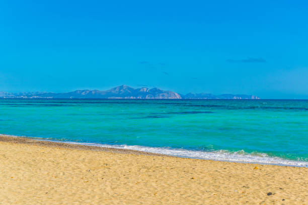 istock Sa Canova Playa Virgen situated in Alcudia bay at Mallorca, Spain 1053521116