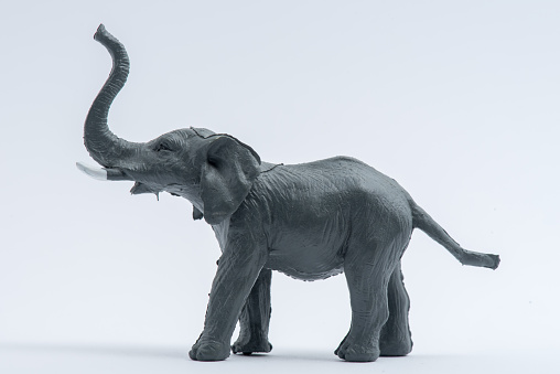 Image of Elephant Toy model isolated on white background,