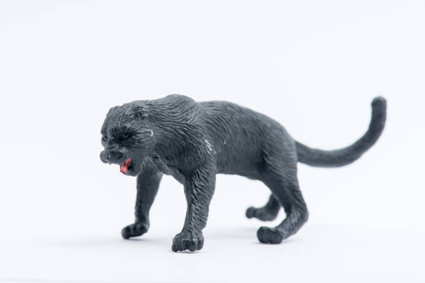 istock Black Panther toy model isolated on white background 1053521172
