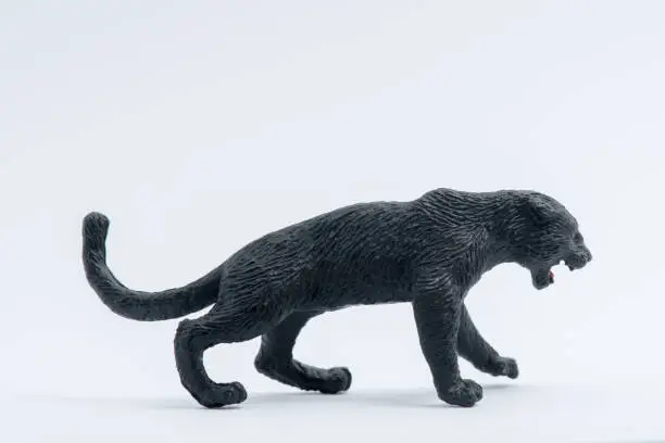 Photo of Black Panther toy model isolated on white background