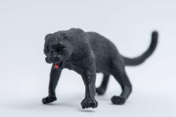 istock Black Panther toy model isolated on white background 1053521392