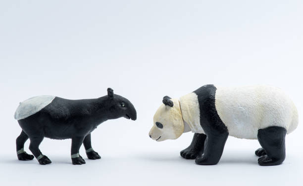 istock Panda and Malayan Tapirs toys model isolated on white background 1053521456