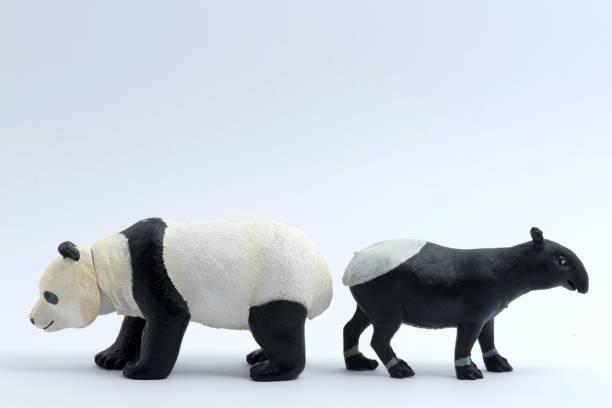 istock Panda and Malayan Tapirs toys model isolated on white background 1053521458