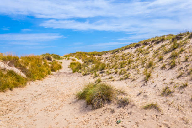 istock Sand dunes at Cala Mesquida, Mallorca, Spain 1053522128