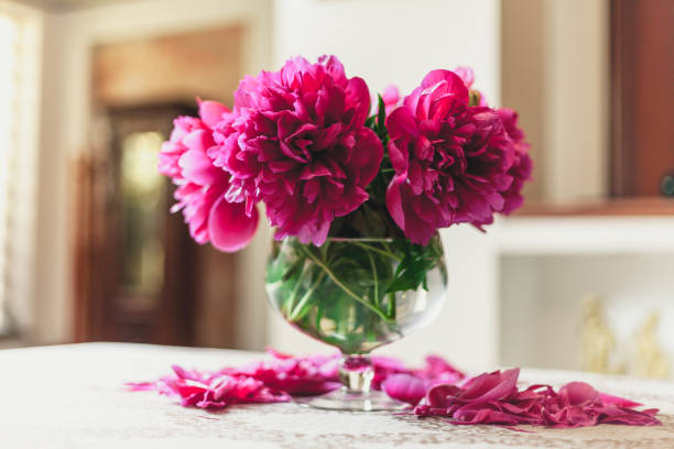 istock red peonies in glass vase stand on table 1053527108