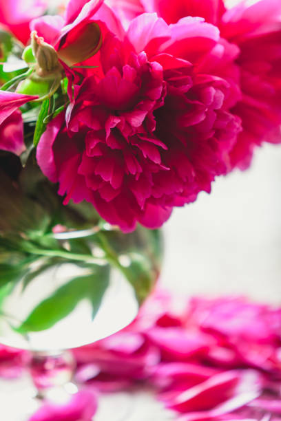 istock red peonies in glass vase stand on table 1053531942