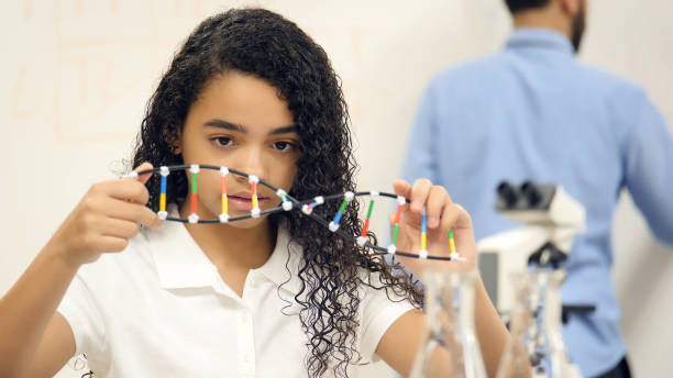 middle school girl examine le modèle helix dna - dna science child education photos et images de collection