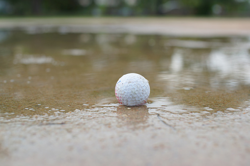 Golf ball in the water.