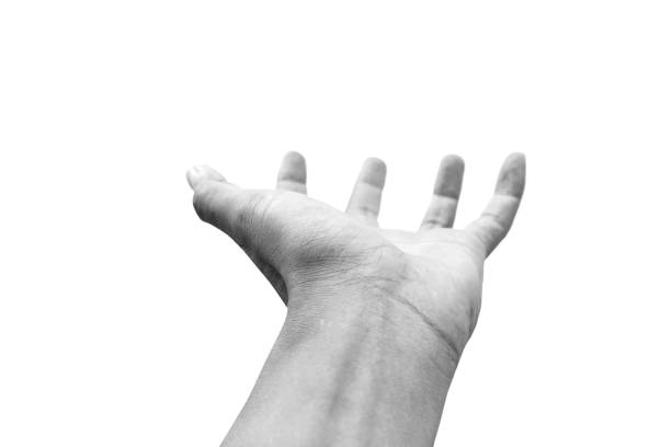 istock Isolated hand open up in black and white. Clipping path included. 1053539292