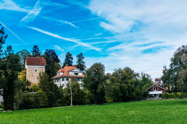 istock Trees And Houses On Field Against Sky 1053545614