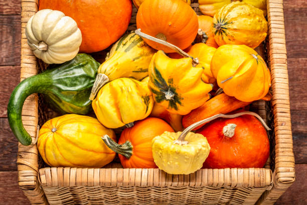 istock background of winter squash and gourds 1053551406