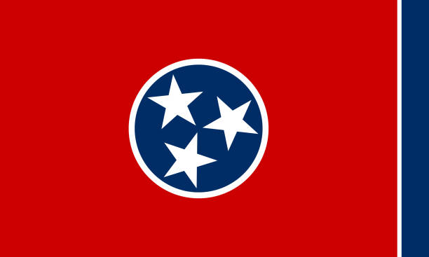 미국 테네시 주, 상세한 벡터의 국기 - 테네시 stock illustrations