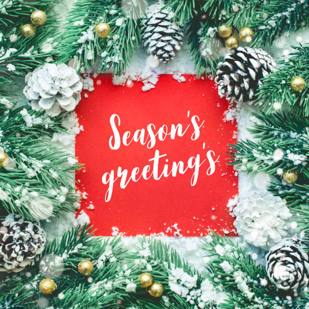 istock Winter season’s greeting’s,christmas concepts ideas with pine tree and snow 1053553964