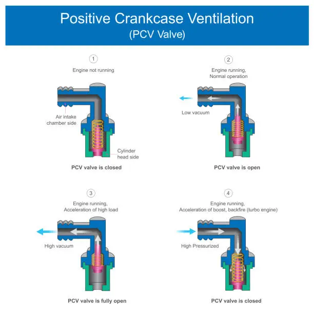 Vector illustration of Positive Crankcase Ventilation (PCV Valve).