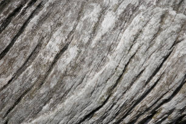 istock Wood,  texture, gray, old, rustic,unedited, unique.Close-up, background 1053556066