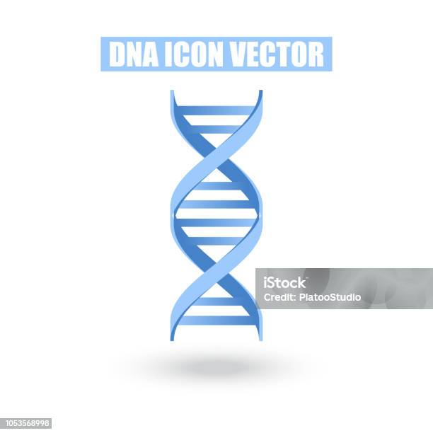 青い Dna アイコン構造分子科学と生物学概念に白背景にベクター グラフィック - DNAのベクターアート素材や画像を多数ご用意 - DNA, らせん, 青