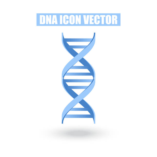 Blue DNA Icon Structure Molecular Science and Biology Concept on White Background - Vector Illustration Blue DNA Icon Structure Molecular Science and Biology Concept on White Background - Vector Illustration dna spiral stock illustrations
