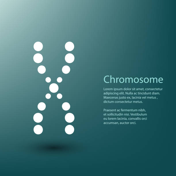 illustrations, cliparts, dessins animés et icônes de icône du chromosome x sur fond bleu - dna science child education