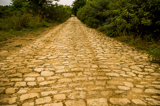 a rural way like a fantasy road of yellow bricks