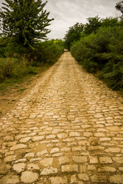 żółta ceglana droga - brick yellow road footpath zdjęcia i obrazy z banku zdjęć