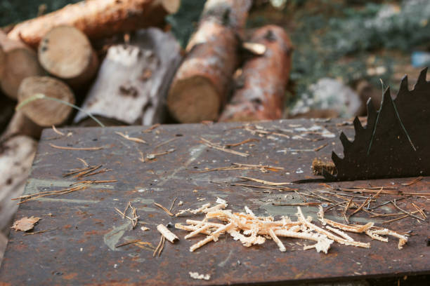 istock Sawdust on the table for cutting wood. 1053575914