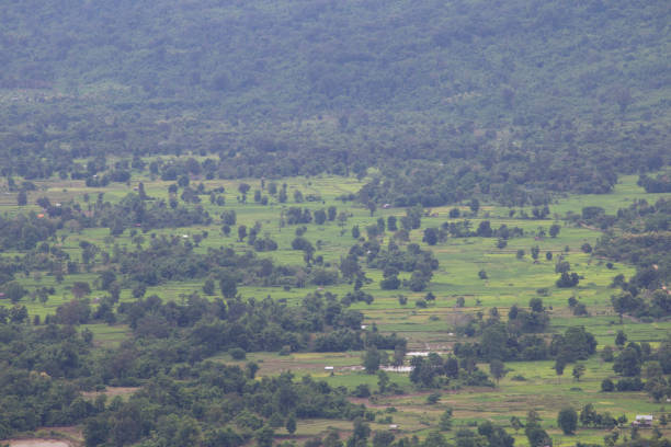 istock Aerial view green forest. Top view forest texture background. 1053579816