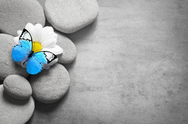 istock Spa concept with butterfly and zen stones. 1053582178
