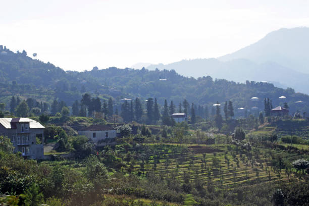 istock Nature of Georgia 1053582464