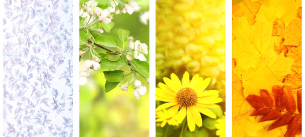 istock Four seasons of year 1053586044