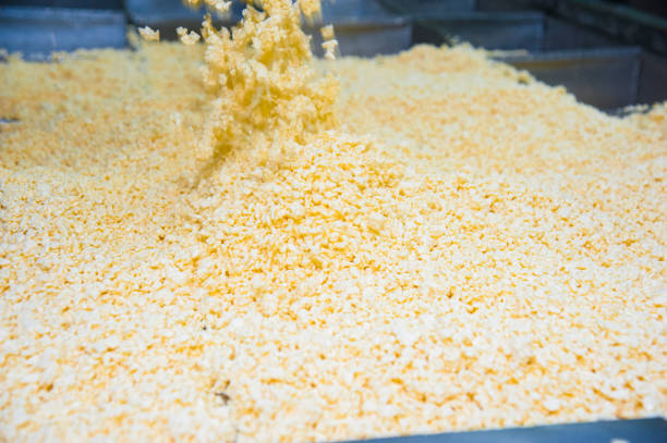 istock Industrial production of hard cheeses 1053586358