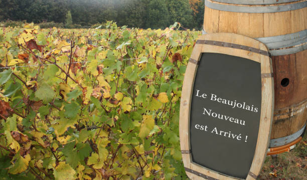 vignoble du beaujolais « le beaujolais nouveau est arrivé ! »  « le beaujolais nouveau est arrivé ! » - beaujolais nouveau photos et images de collection