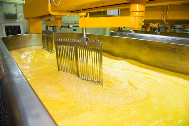 istock Industrial production of hard cheeses 1053587656
