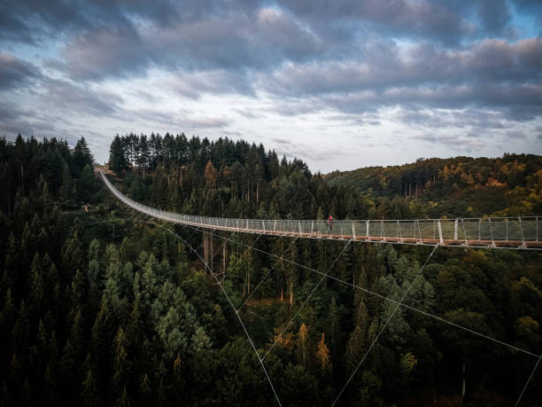 istock Suspension bridge Geierlay 1053594528