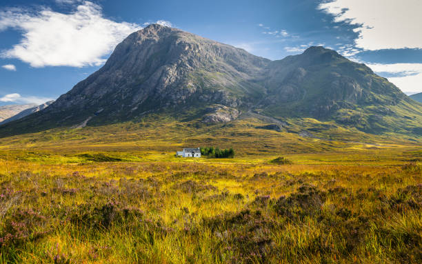 The remote Lagangarbh Hut in front of Buachaille Etive Mor in Glen Coe on a beautiful summer afternoon, Scotland The remote Lagangarbh Hut in front of Buachaille Etive Mor in Glen Coe on a beautiful summer afternoon, Scotland buachaille etive mor photos stock pictures, royalty-free photos & images