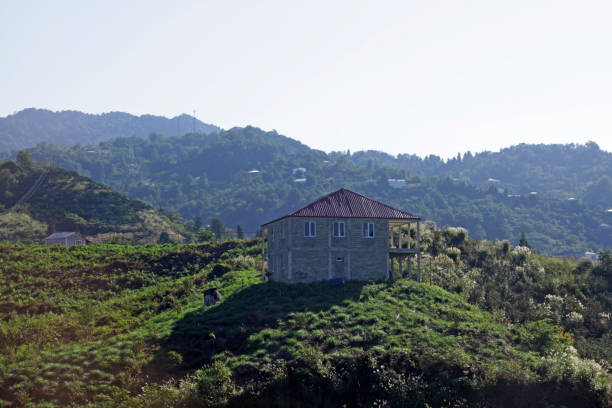 istock Nature of Georgia 1053597766