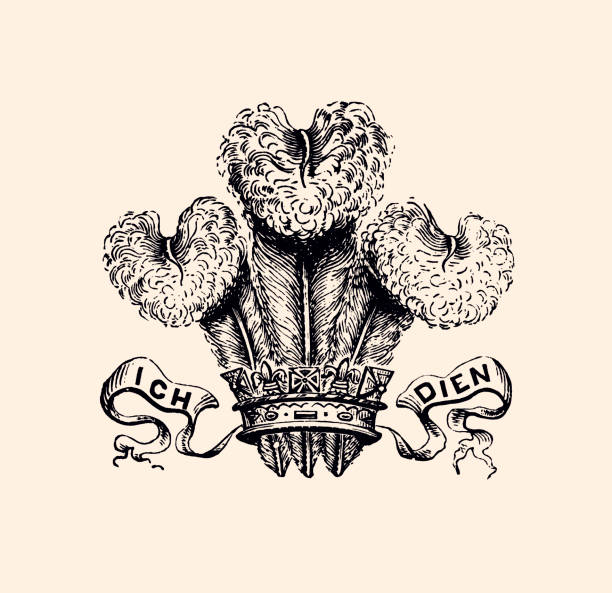 я dien (xxxl) - prince of wales stock illustrations