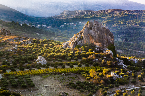 Olive plantations in the high mountains of the island of Crete, Greece