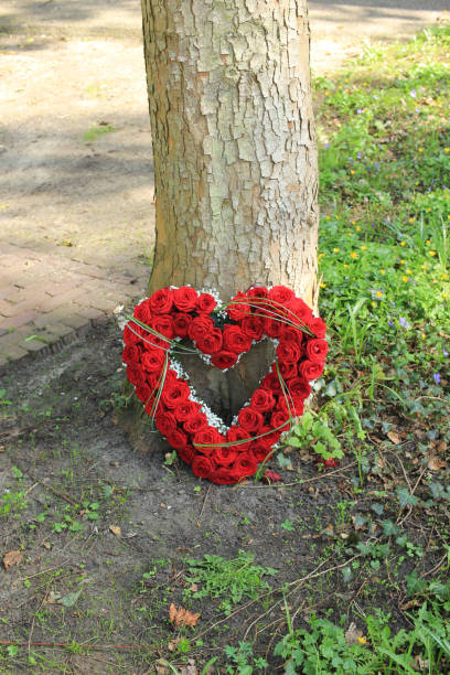 istock Sympathy flowers near a tree 1053615360