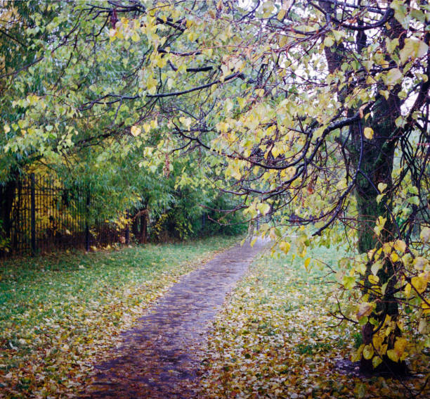 istock autumn in the park 1053617520