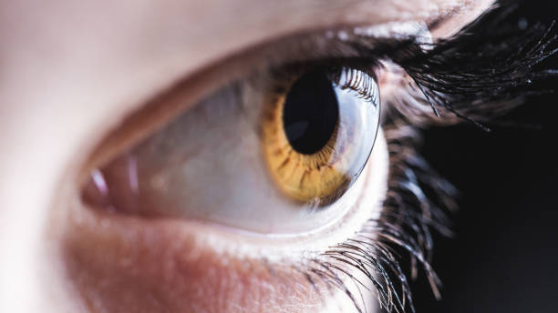 Eye Macro shots of human eyes. Shallow DOF. Developed from RAW; retouched with special care and attention; Small amount of grain added for best final impression. 16 bit Adobe RGB color profile. visual sense stock pictures, royalty-free photos & images