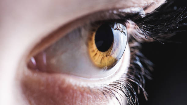 глаз - reflection women human eye macro стоковые фото и изображения